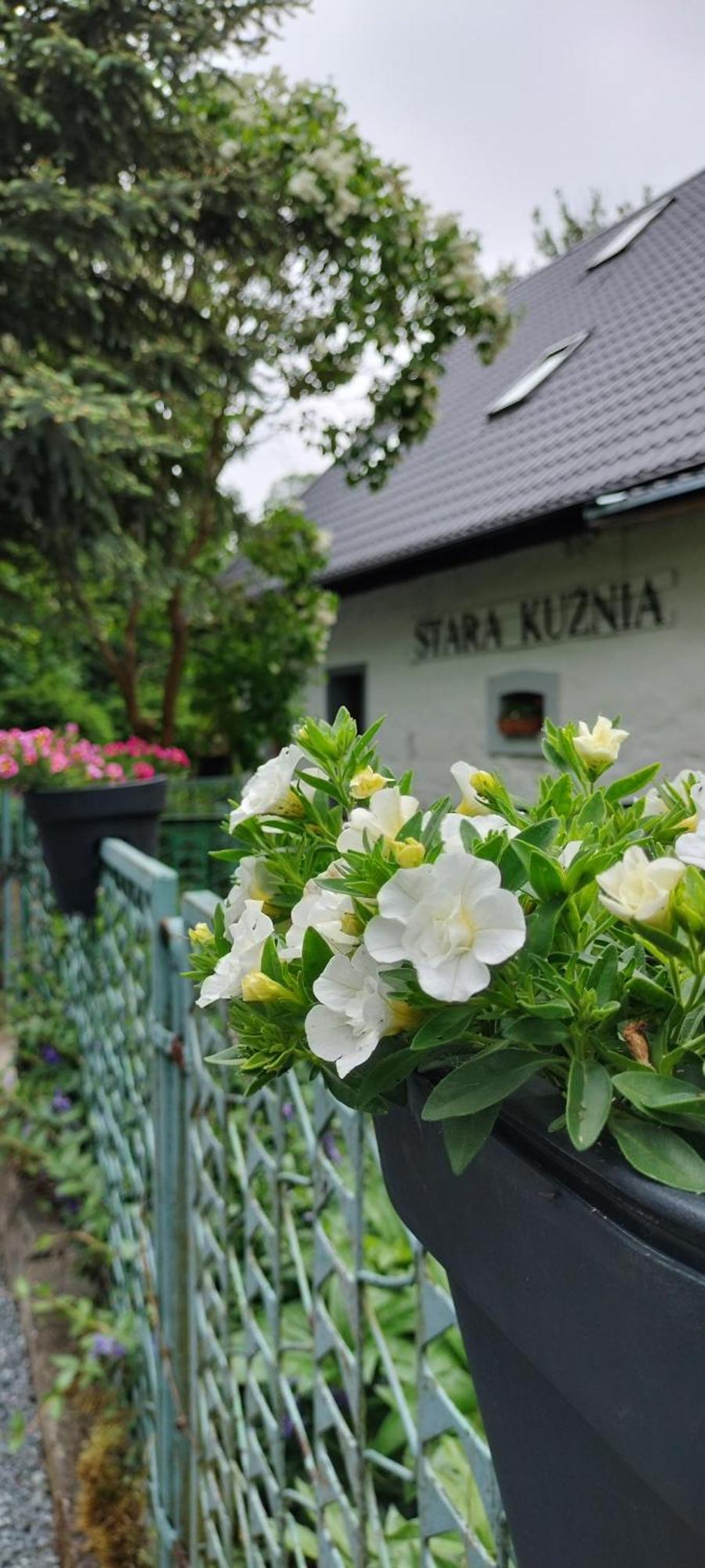 Stara Kuznia Apartment Duszniki Zdroj Exterior photo